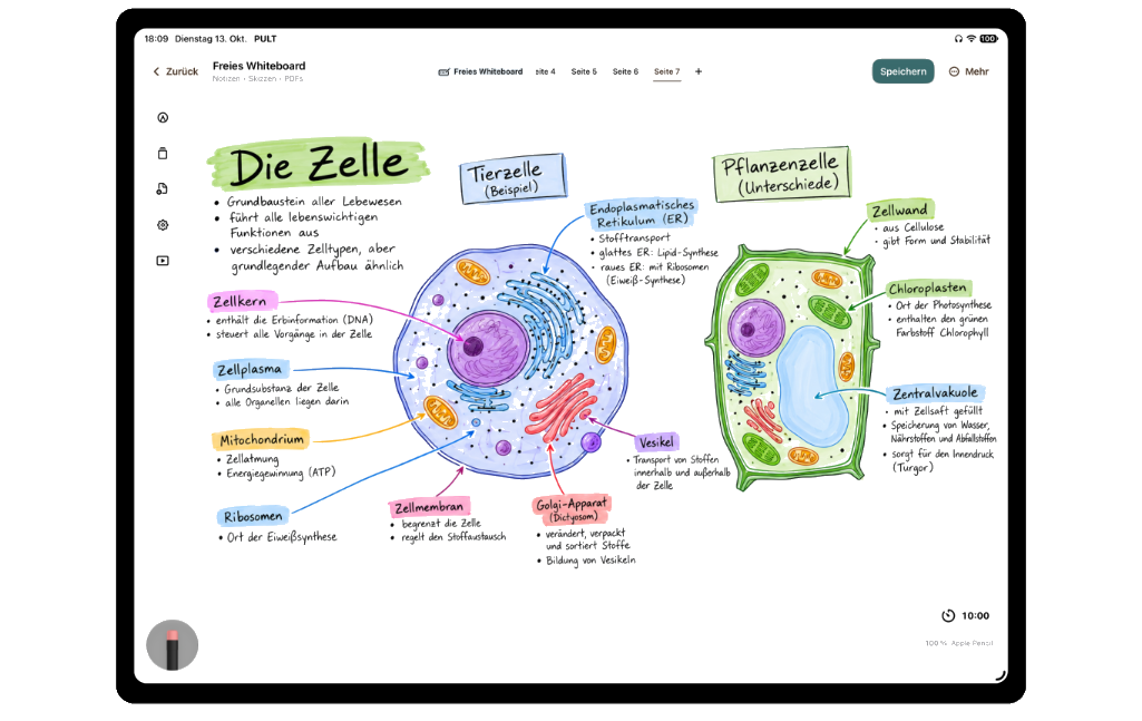 PULT-Whiteboard mit farbig beschriftetem Tafelbild